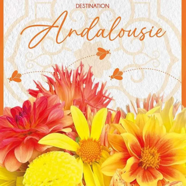 Dahlia Andalousie - Assortiment tubercules | Achat direct au producteur