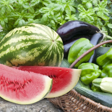 Pastèque 'Mini Love' Rouge - Citrullus | Achat direct au producteur