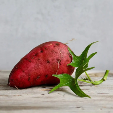 Patate douce Erato® Vineland Intense Orange | Achat direct au producteur