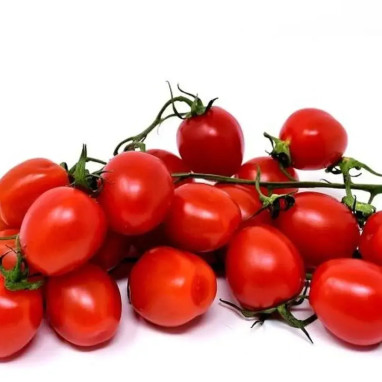 Tomate cerise greffée 'Supersweet 100' - Solanum | Achat producteur