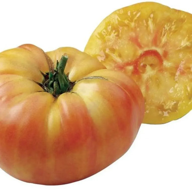 Tomate greffée 'Ananas' - Solanum | Achat direct au producteur