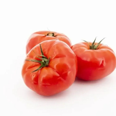 Tomate greffée 'Gourmandia' - Solanum | Achat direct au producteur