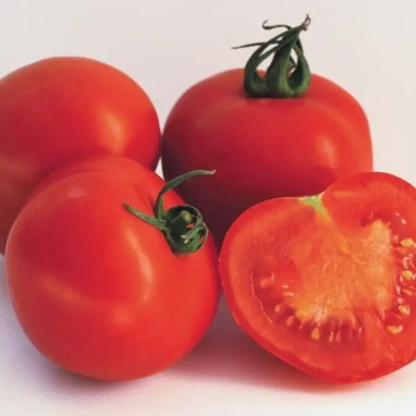Tomate greffée 'Previa' - Solanum | Achat direct au producteur