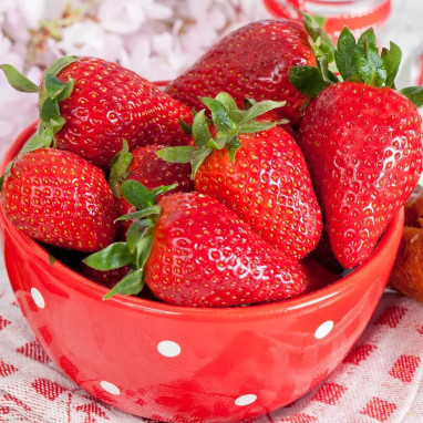 Fraisier Cirafine'® - Fragaria | Achat direct au producteur