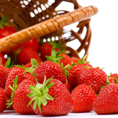 Fraisier Cirano'® - Fragaria | Achat direct au producteur