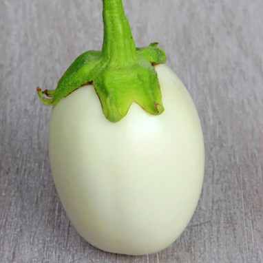 Aubergine Blanche ronde à œuf - Solanum | Achat direct au producteur