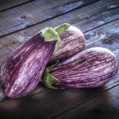 Aubergine 'Listada de Gandia' - Solanum | Achat direct au producteur