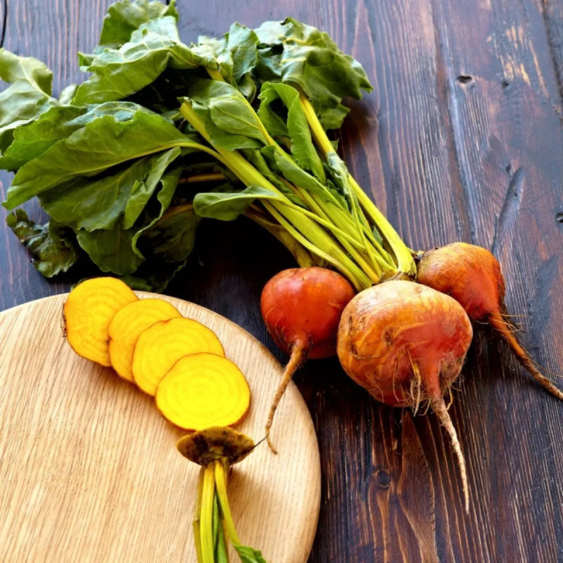 Betterave 'Burpee's Golden' - Beta vulgaris | Achat producteur