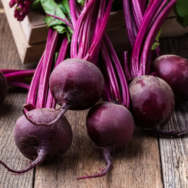 Betterave rouge 'Détroit 2' - Beta vulgaris | Achat producteur