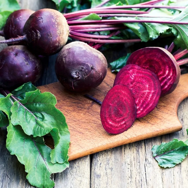 Betterave 'd'Egypte' BIO - Beta vulgaris | Achat producteur