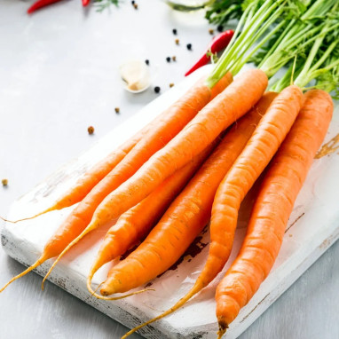 Carotte 'Amsterdam 2' Bio - Daucus carota | Achat producteur