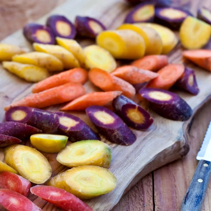 Carotte potagère Mélange - Daucus carota | Achat producteur