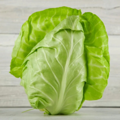 Chou cabus 'Cœur de Bœuf des Vertus' - Brassica | Achat producteur