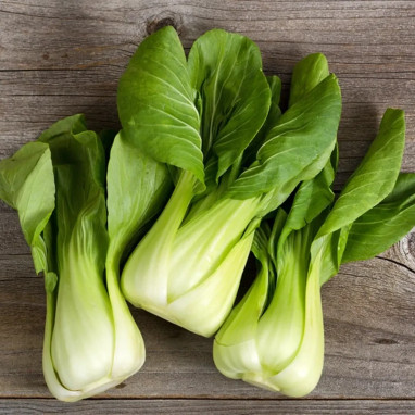Chou Chine Pak-Choi - Brassica | Achat direct au producteur