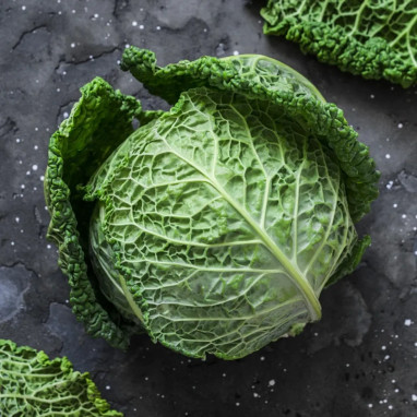 Chou Milan 'Gros des vertus 4' - Brassica | Achat producteur
