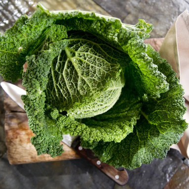Chou Milan 'Gros des Vertus 4' BIO - Brassica | Achat producteur