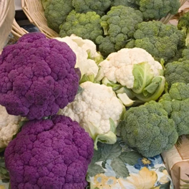 Chou-fleur mélange couleur - Brassica | Achat direct au producteur