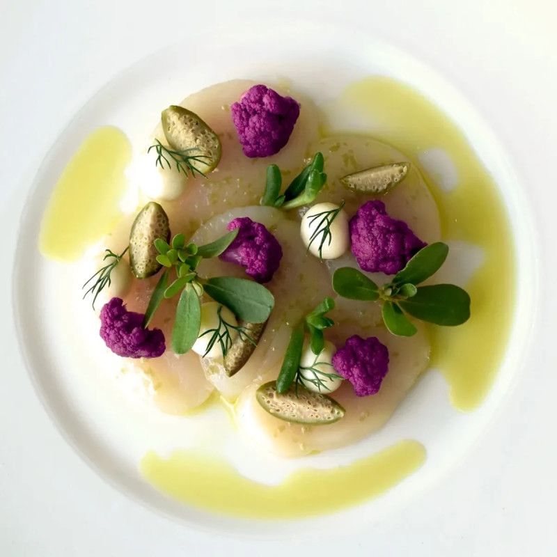 Chou-fleur mélange couleur - Brassica | Achat direct au producteur