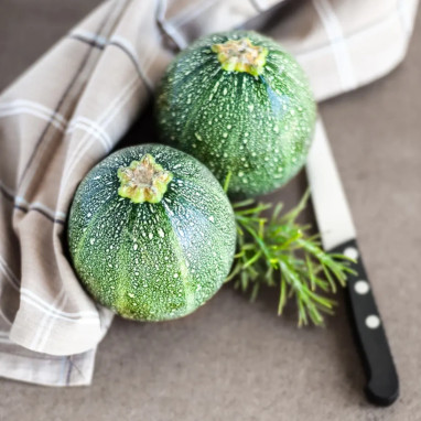 Courgette de Nice à fruit rond - Cucurbita | Achat producteur