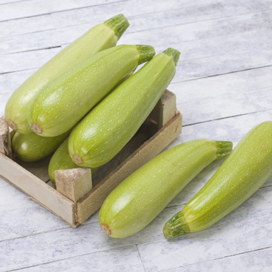 Courgette 'Verte Petite d'Alger' - Cucurbita | Achat direct au producteur