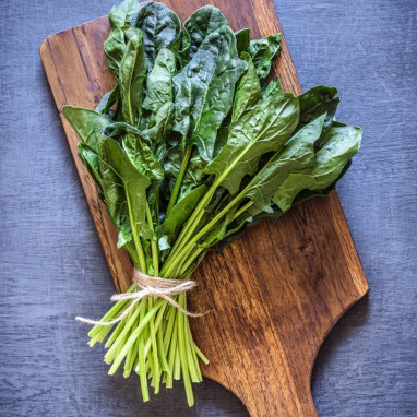 Épinard 'America' BIO - Spinacia oleracea | Achat producteur