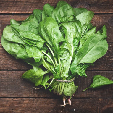 Épinard 'Monstrueux de Viroflay' - Spinacia | Achat direct au producteur