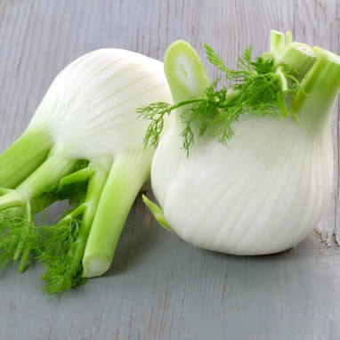 Fenouil 'Romanesco' BIO - Foeniculum | Achat direct au producteur