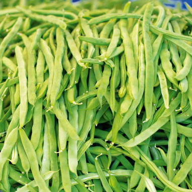 Haricot mangetout 'Neckarkönigin' BIO - Phaseolus | Achat producteur
