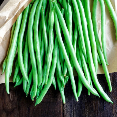 Haricot Nain Filet 'Delinel' - Phaseolus | Achat direct au producteur