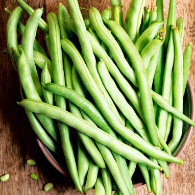 Haricot nain mangetout 'Contender' - Phaseolus | Achat producteur