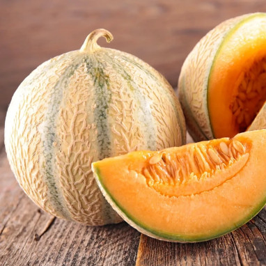 Melon Charentais - Cucumis melo | Achat direct au producteur