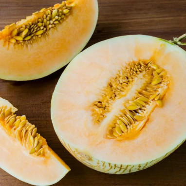Melon Cavaillon espagnol - Cucumis melo | Achat direct au producteur