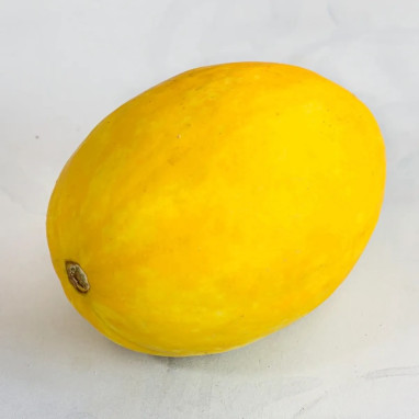 Melon jaune canaria 3 - Cucumis melo | Achat direct au producteur