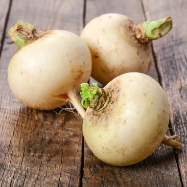 Navet Boule d'or BIO - Brassica rapa | Achat direct au producteur