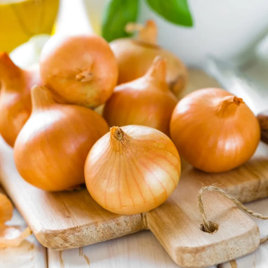 Oignon 'Jaune paille des vertus' - Allium | Achat direct au producteur
