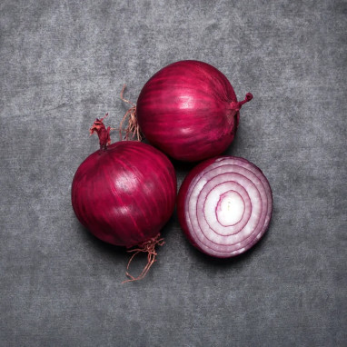 Oignon Rouge 'Red Baron' Bio - Allium cepa | Achat producteur