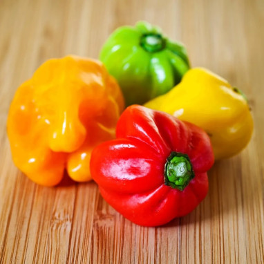 Piment Scotch Bonnet - Capsicum | Achat direct au producteur