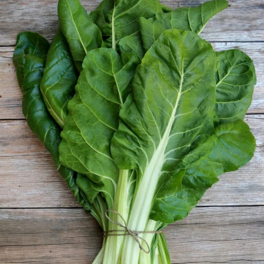 Blette 'Blonde à cardes blanches 2' - Beta vulgaris | Achat producteur