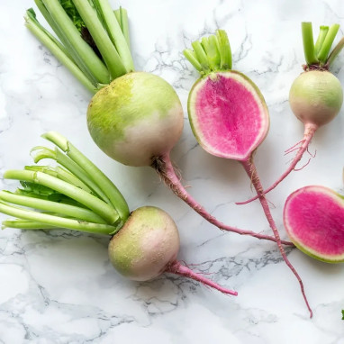 Radis asiatique 'Red Meat' - Raphanus | Achat direct au producteur