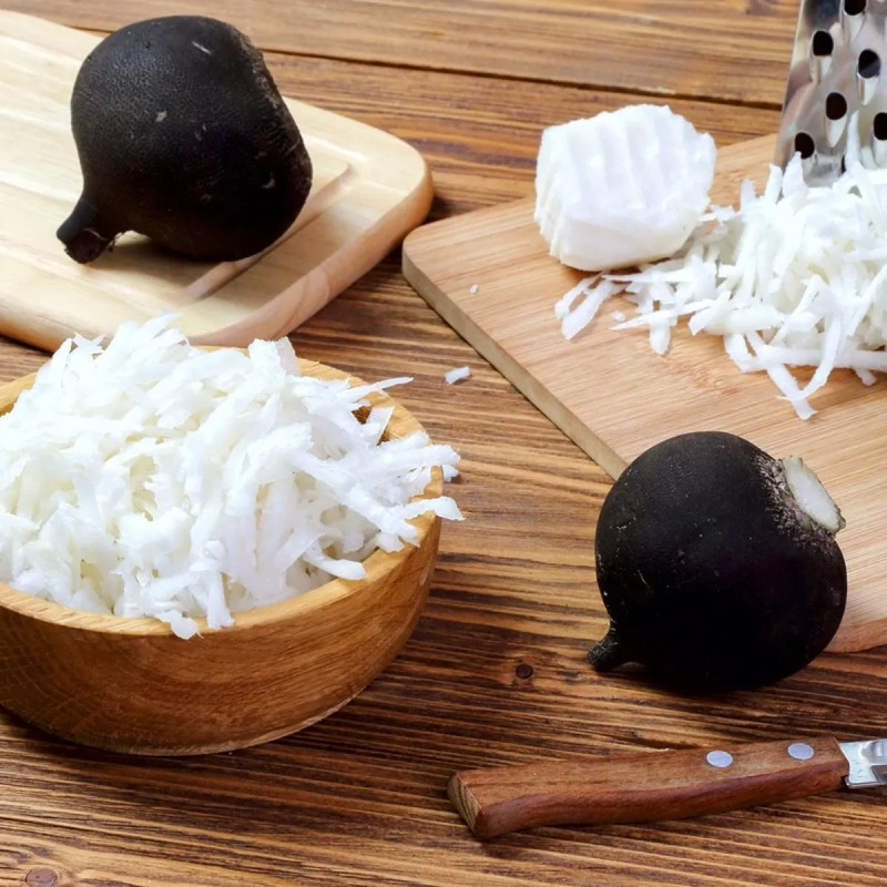 Radis noir gros rond d'hiver BIO - Raphanus | Achat producteur