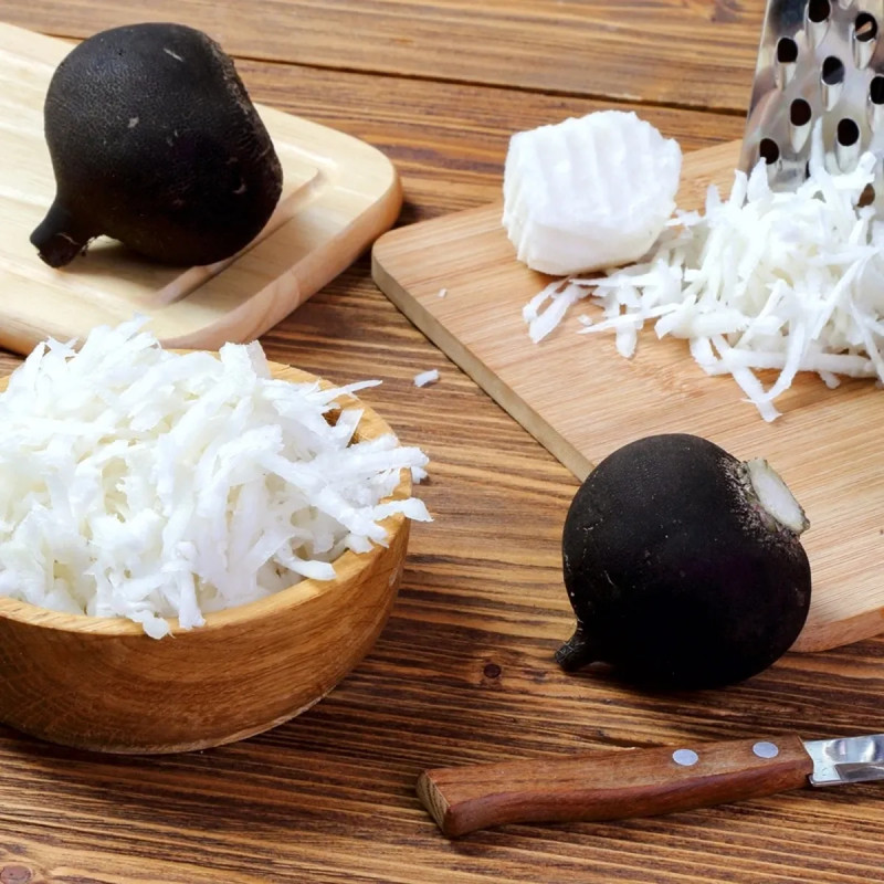 Radis noir gros rond d'hiver BIO - Raphanus | Achat producteur