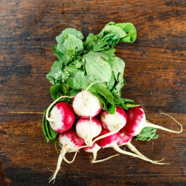 Radis Rond 'Gaudry 2' - Raphanus sativus | Achat direct au producteur