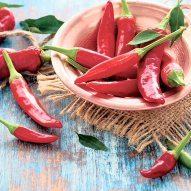 Piment de Cayenne BIO - Capsicum annuum | Achat direct au producteur
