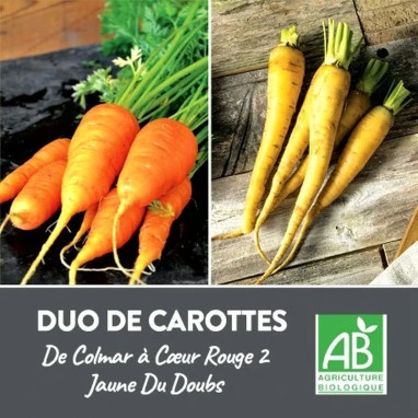 Carotte Jaune du Doubs Bio - Daucus carota | Achat direct au producteur