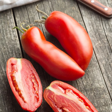Tomate Andine Cornue des Andes BIO - Solanum | Achat producteur