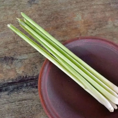 Citronnelle de Madagascar - Cymbopogon | Achat direct au producteur