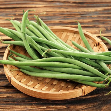 Haricot nain Oxinel - Phaseolus vulgaris | Achat direct au producteur