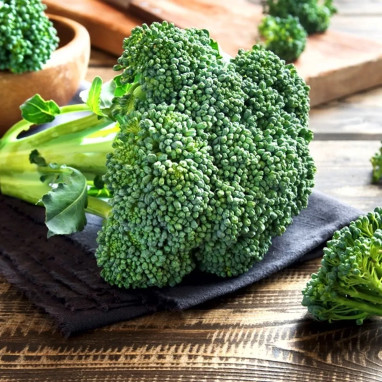 Chou brocoli Calabrese 'Natalino' - Brassica | Achat direct au producteur