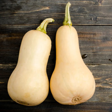 Courge butternut BIO - Cucurbita moschata | Achat producteur