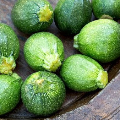 Courgette de Nice à fruit rond BIO - Cucurbita | Achat en ligne